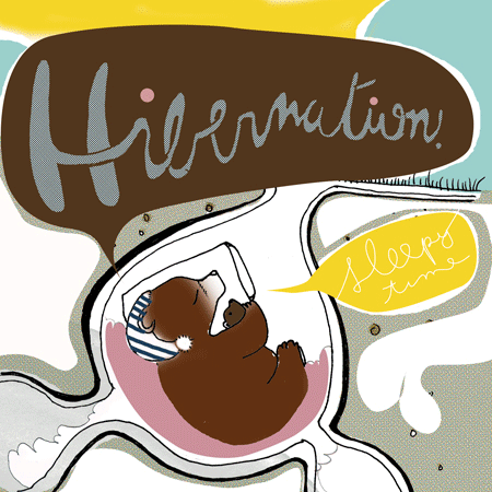 Hibernation: Songs For Sleeping Bears And Other Tired Animals